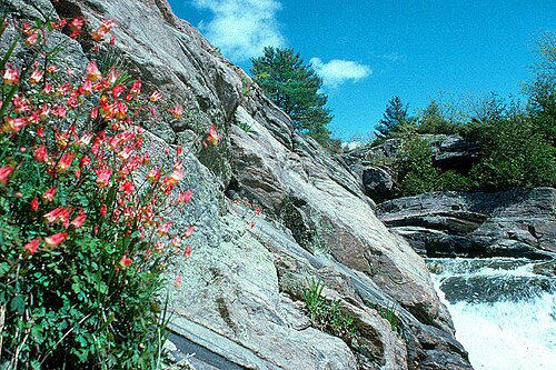 Severn River (Ontario)